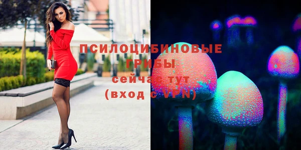 бутик Бородино