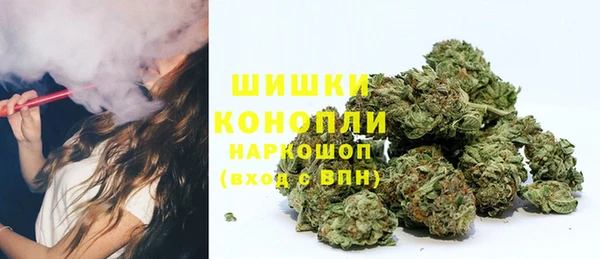 прущая мука Богородск